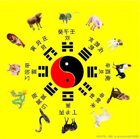 八卦 動物